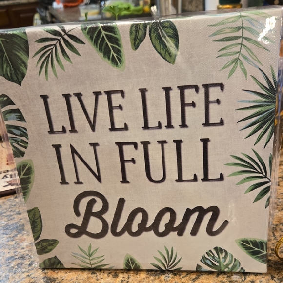 Special Moments Other - Special Moments Green and White Canvas Art